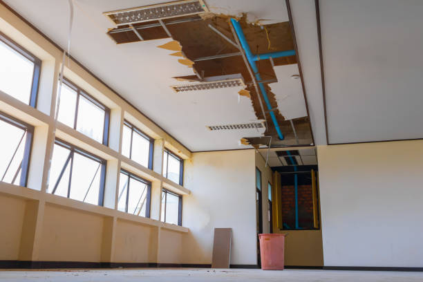 Best Sewage cleanup and water damage restoration  in Menonee, MI
