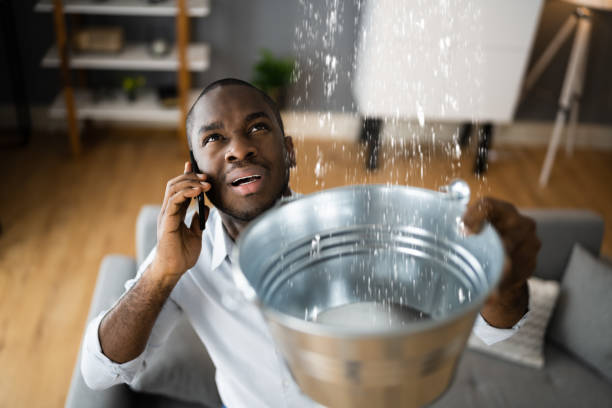 Best Mold removal after water damage  in Menonee, MI