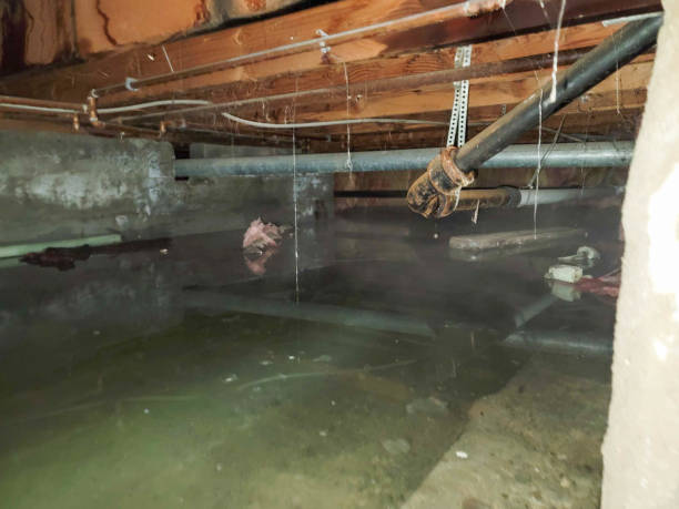 Best 24-hour water damage restoration  in Menonee, MI
