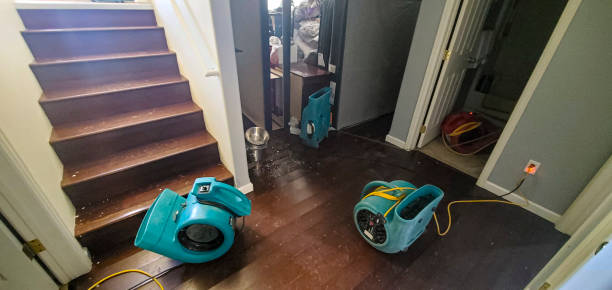 Water damage restoration insurance claims in Menominee, MI