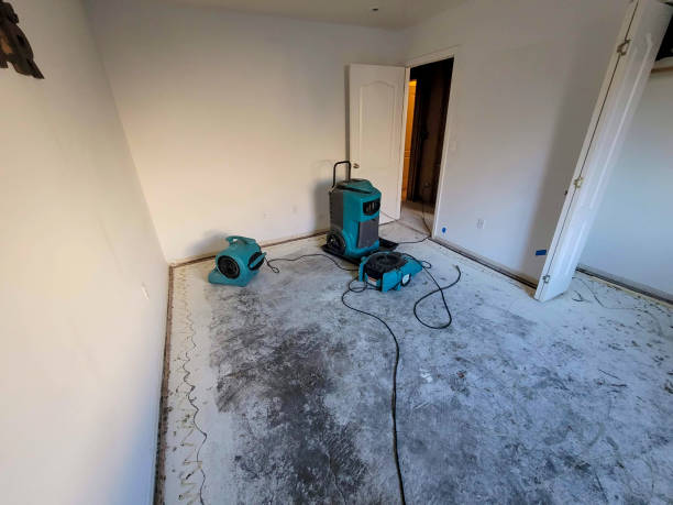 Best Commercial water damage restoration  in Menonee, MI