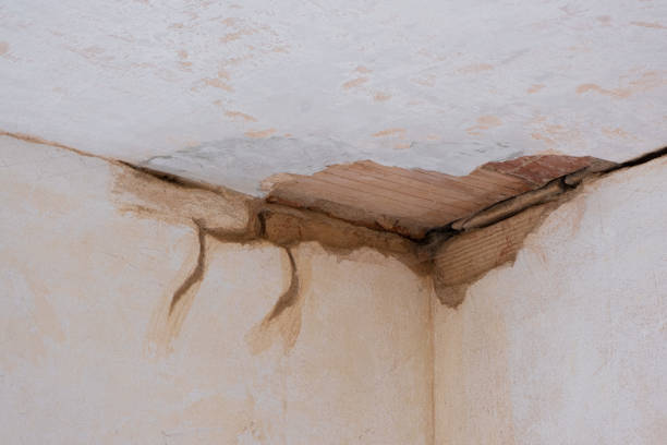 Best Fire Damage Restoration  in Menonee, MI