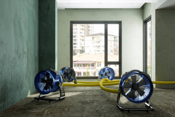 Trusted Menominee, MI Water damage restoration Experts